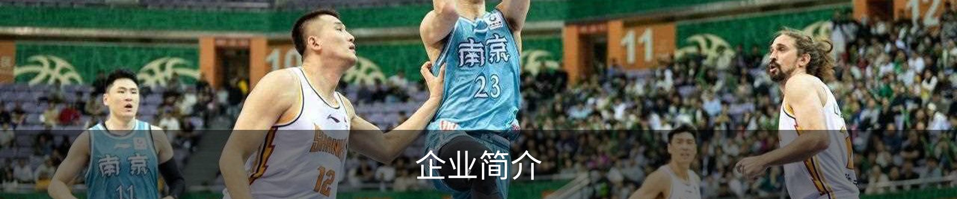 企业简介